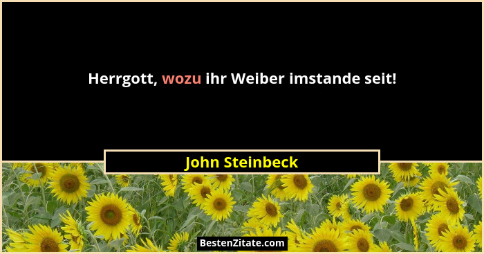 Herrgott, wozu ihr Weiber imstande seit!... - John Steinbeck