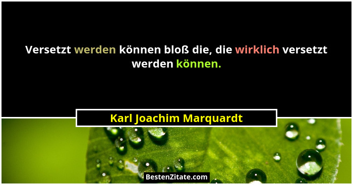 Versetzt werden können bloß die, die wirklich versetzt werden können.... - Karl Joachim Marquardt