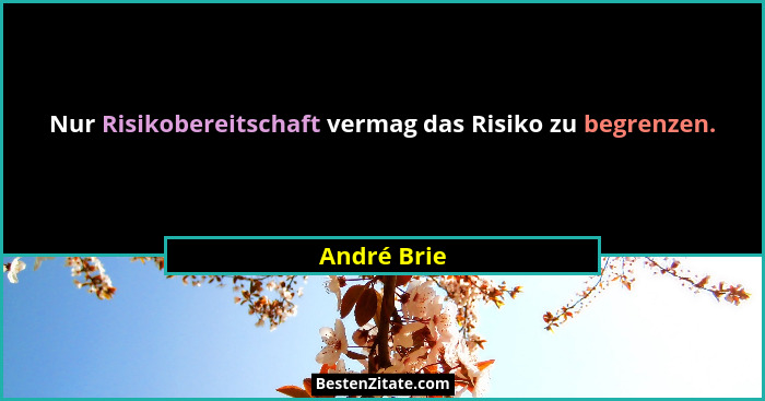 Nur Risikobereitschaft vermag das Risiko zu begrenzen.... - André Brie
