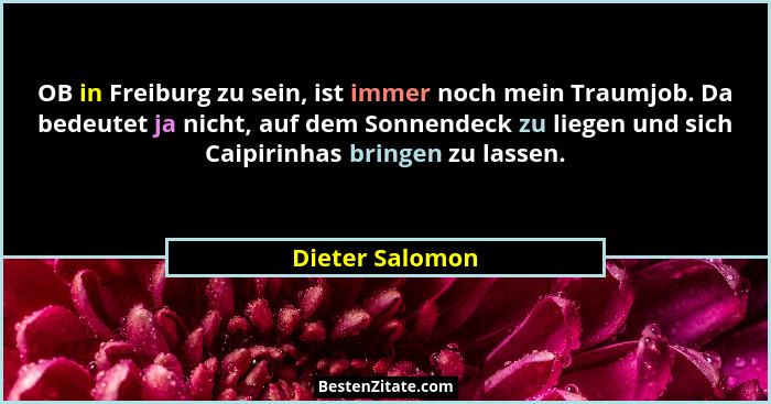 OB in Freiburg zu sein, ist immer noch mein Traumjob. Da bedeutet ja nicht, auf dem Sonnendeck zu liegen und sich Caipirinhas bringen... - Dieter Salomon