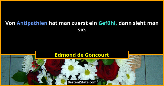 Von Antipathien hat man zuerst ein Gefühl, dann sieht man sie.... - Edmond de Goncourt