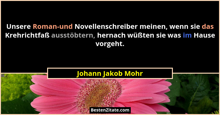 Unsere Roman-und Novellenschreiber meinen, wenn sie das Krehrichtfaß ausstöbtern, hernach wüßten sie was im Hause vorgeht.... - Johann Jakob Mohr