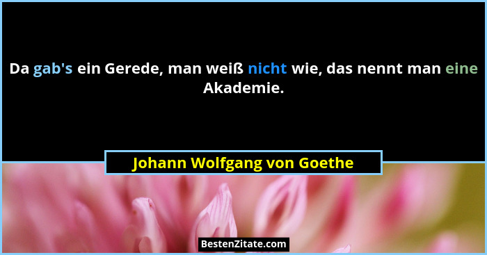 Da gab's ein Gerede, man weiß nicht wie, das nennt man eine Akademie.... - Johann Wolfgang von Goethe