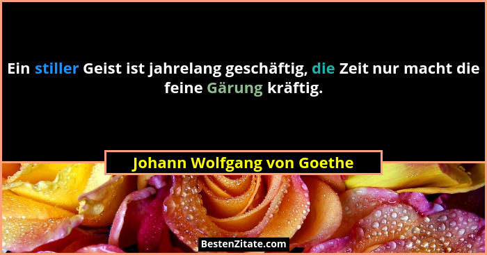 Ein stiller Geist ist jahrelang geschäftig, die Zeit nur macht die feine Gärung kräftig.... - Johann Wolfgang von Goethe