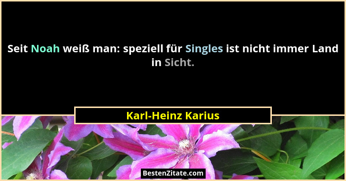 Seit Noah weiß man: speziell für Singles ist nicht immer Land in Sicht.... - Karl-Heinz Karius