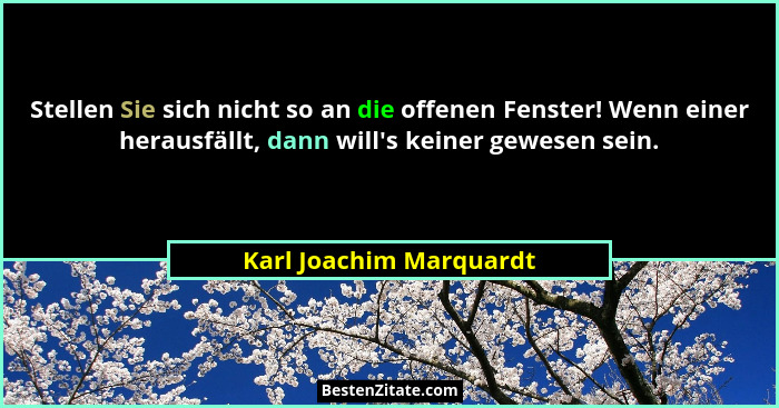 Stellen Sie sich nicht so an die offenen Fenster! Wenn einer herausfällt, dann will's keiner gewesen sein.... - Karl Joachim Marquardt