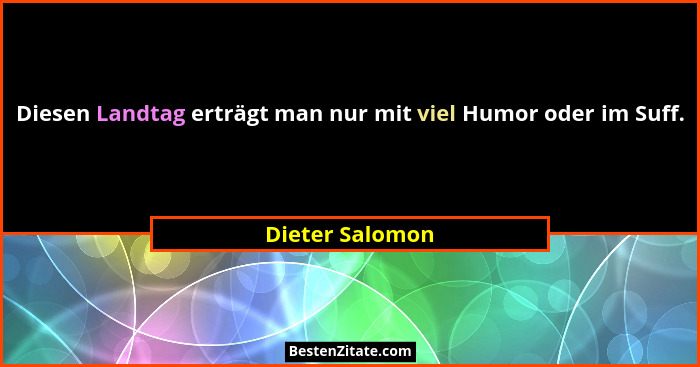 Diesen Landtag erträgt man nur mit viel Humor oder im Suff.... - Dieter Salomon