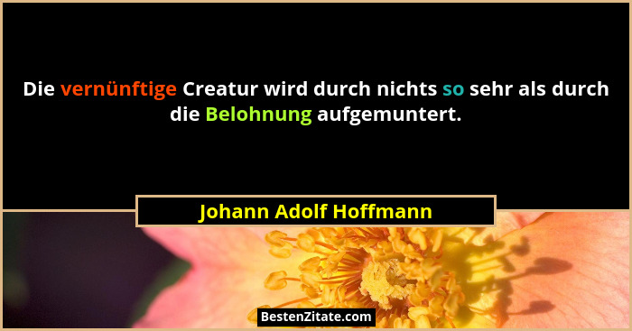 Die vernünftige Creatur wird durch nichts so sehr als durch die Belohnung aufgemuntert.... - Johann Adolf Hoffmann