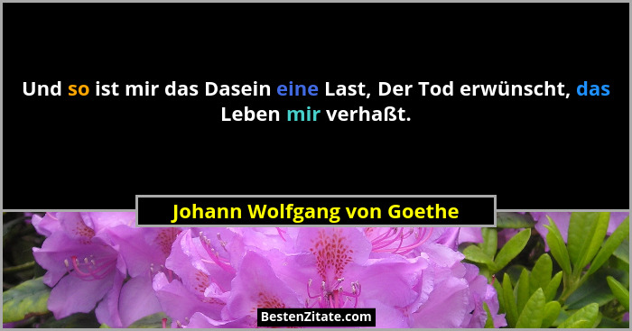 Und so ist mir das Dasein eine Last, Der Tod erwünscht, das Leben mir verhaßt.... - Johann Wolfgang von Goethe