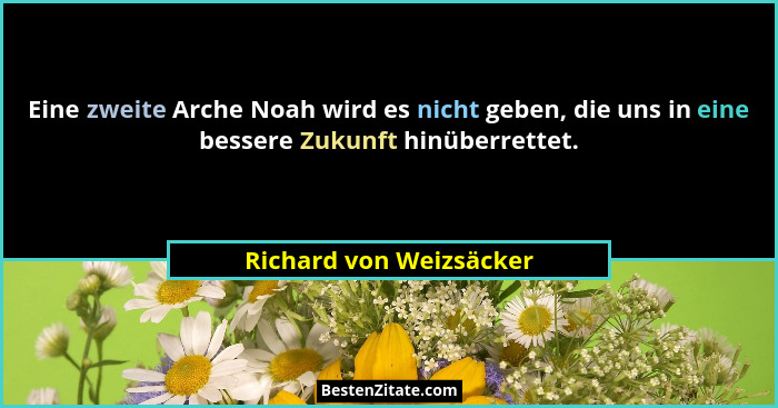 Eine zweite Arche Noah wird es nicht geben, die uns in eine bessere Zukunft hinüberrettet.... - Richard von Weizsäcker