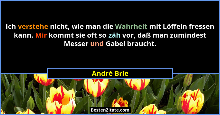 Ich verstehe nicht, wie man die Wahrheit mit Löffeln fressen kann. Mir kommt sie oft so zäh vor, daß man zumindest Messer und Gabel brauc... - André Brie
