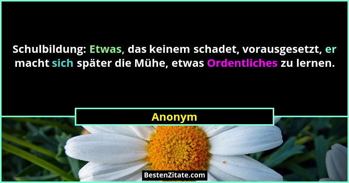 Schulbildung: Etwas, das keinem schadet, vorausgesetzt, er macht sich später die Mühe, etwas Ordentliches zu lernen.... - Anonym