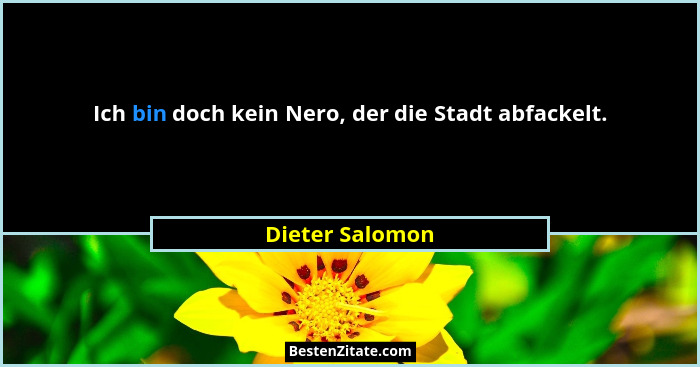 Ich bin doch kein Nero, der die Stadt abfackelt.... - Dieter Salomon