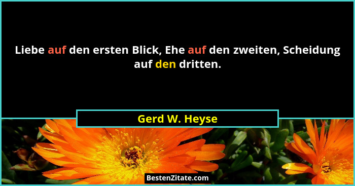 Liebe auf den ersten Blick, Ehe auf den zweiten, Scheidung auf den dritten.... - Gerd W. Heyse