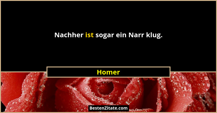 Nachher ist sogar ein Narr klug.... - Homer