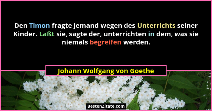 Den Timon fragte jemand wegen des Unterrichts seiner Kinder. Laßt sie, sagte der, unterrichten in dem, was sie niemals be... - Johann Wolfgang von Goethe