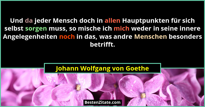 Und da jeder Mensch doch in allen Hauptpunkten für sich selbst sorgen muss, so mische ich mich weder in seine innere Ange... - Johann Wolfgang von Goethe