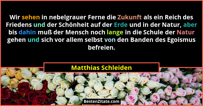 Wir sehen in nebelgrauer Ferne die Zukunft als ein Reich des Friedens und der Schönheit auf der Erde und in der Natur, aber bis d... - Matthias Schleiden