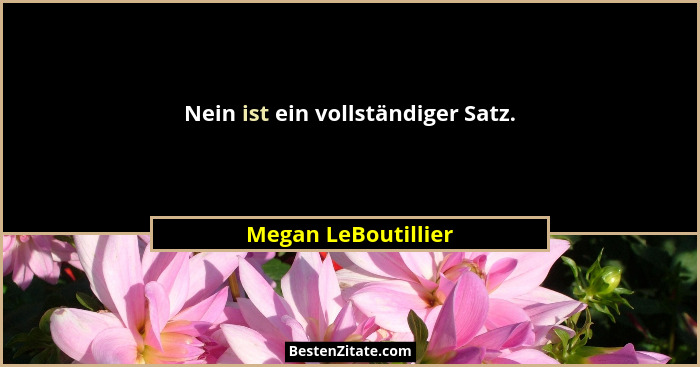 Nein ist ein vollständiger Satz.... - Megan LeBoutillier