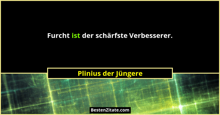 Furcht ist der schärfste Verbesserer.... - Plinius der Jüngere