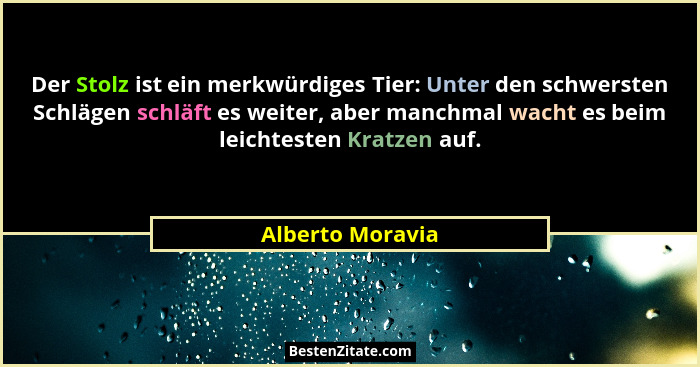 Der Stolz ist ein merkwürdiges Tier: Unter den schwersten Schlägen schläft es weiter, aber manchmal wacht es beim leichtesten Kratze... - Alberto Moravia