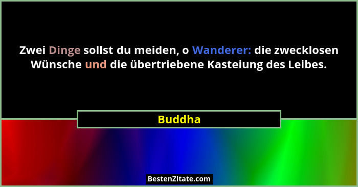 Zwei Dinge sollst du meiden, o Wanderer: die zwecklosen Wünsche und die übertriebene Kasteiung des Leibes.... - Buddha