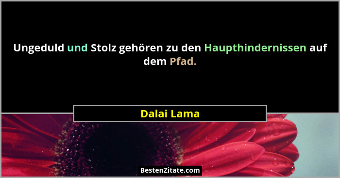 Ungeduld und Stolz gehören zu den Haupthindernissen auf dem Pfad.... - Dalai Lama