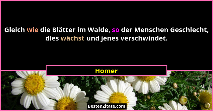 Gleich wie die Blätter im Walde, so der Menschen Geschlecht, dies wächst und jenes verschwindet.... - Homer