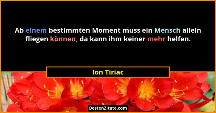 Ab einem bestimmten Moment muss ein Mensch allein fliegen können, da kann ihm keiner mehr helfen.... - Ion Tiriac