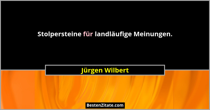 Stolpersteine für landläufige Meinungen.... - Jürgen Wilbert