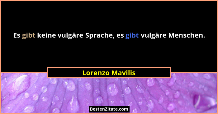 Es gibt keine vulgäre Sprache, es gibt vulgäre Menschen.... - Lorenzo Mavilis