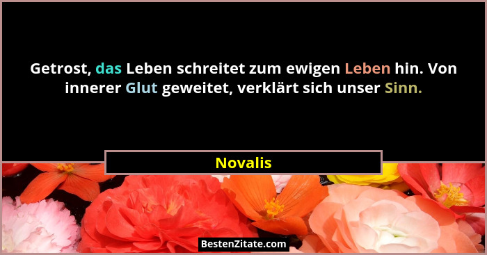 Getrost, das Leben schreitet zum ewigen Leben hin. Von innerer Glut geweitet, verklärt sich unser Sinn.... - Novalis
