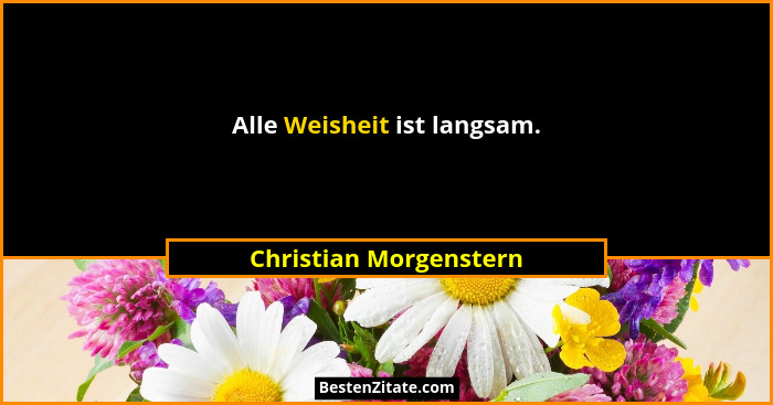 Alle Weisheit ist langsam.... - Christian Morgenstern