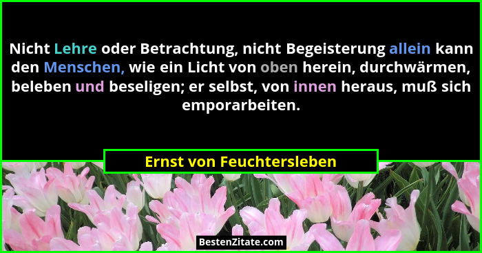 Nicht Lehre oder Betrachtung, nicht Begeisterung allein kann den Menschen, wie ein Licht von oben herein, durchwärmen, bele... - Ernst von Feuchtersleben