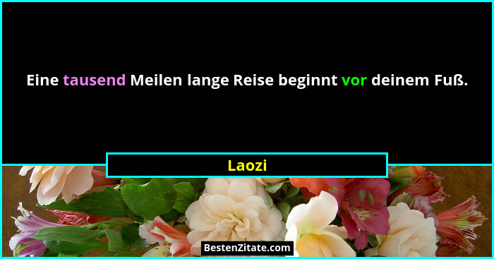 Eine tausend Meilen lange Reise beginnt vor deinem Fuß.... - Laozi