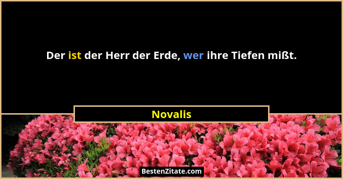 Der ist der Herr der Erde, wer ihre Tiefen mißt.... - Novalis