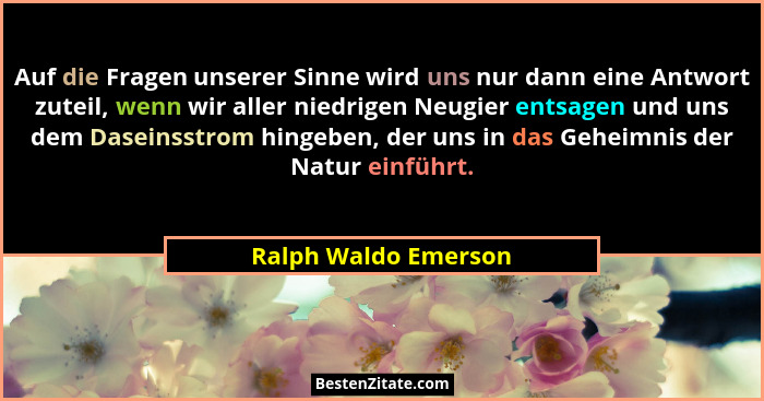 Auf die Fragen unserer Sinne wird uns nur dann eine Antwort zuteil, wenn wir aller niedrigen Neugier entsagen und uns dem Dasein... - Ralph Waldo Emerson