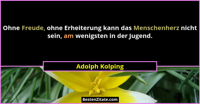Ohne Freude, ohne Erheiterung kann das Menschenherz nicht sein, am wenigsten in der Jugend.... - Adolph Kolping