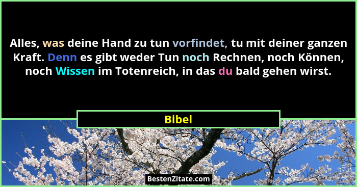 Alles, was deine Hand zu tun vorfindet, tu mit deiner ganzen Kraft. Denn es gibt weder Tun noch Rechnen, noch Können, noch Wissen im Totenreic... - Bibel