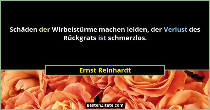 Schäden der Wirbelstürme machen leiden, der Verlust des Rückgrats ist schmerzlos.... - Ernst Reinhardt