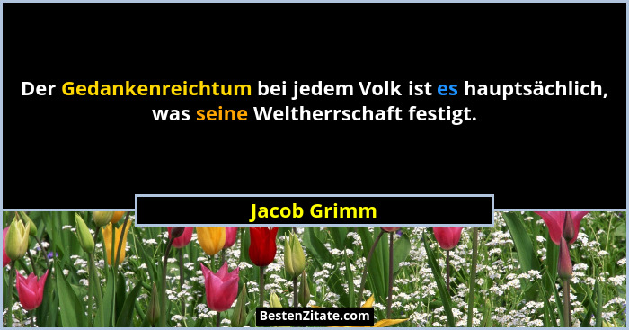 Der Gedankenreichtum bei jedem Volk ist es hauptsächlich, was seine Weltherrschaft festigt.... - Jacob Grimm