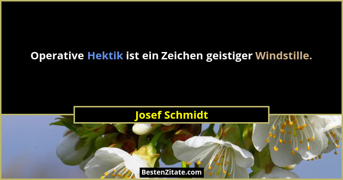 Operative Hektik ist ein Zeichen geistiger Windstille.... - Josef Schmidt