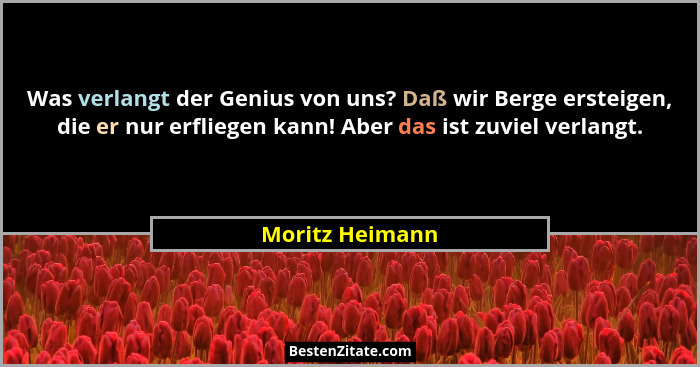 Was verlangt der Genius von uns? Daß wir Berge ersteigen, die er nur erfliegen kann! Aber das ist zuviel verlangt.... - Moritz Heimann