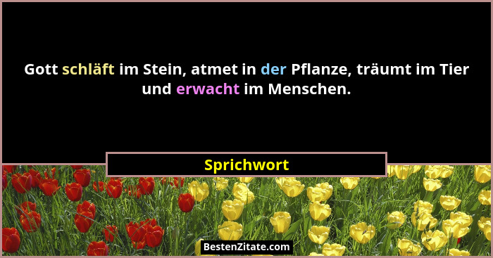 Gott schläft im Stein, atmet in der Pflanze, träumt im Tier und erwacht im Menschen.... - Sprichwort