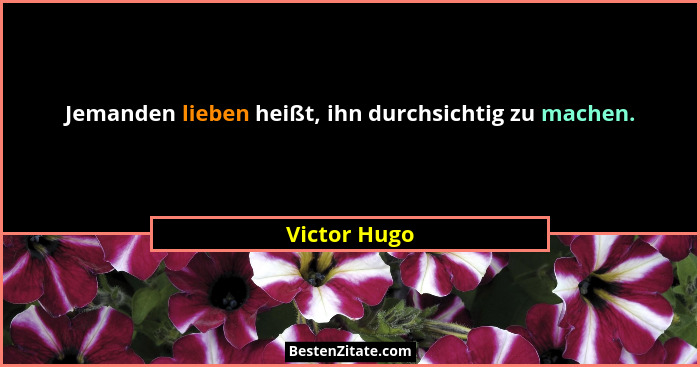 Jemanden lieben heißt, ihn durchsichtig zu machen.... - Victor Hugo