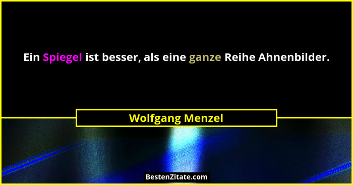 Ein Spiegel ist besser, als eine ganze Reihe Ahnenbilder.... - Wolfgang Menzel