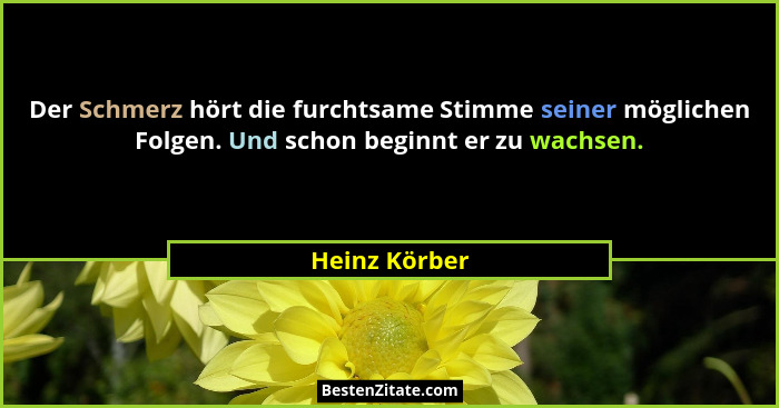 Der Schmerz hört die furchtsame Stimme seiner möglichen Folgen. Und schon beginnt er zu wachsen.... - Heinz Körber