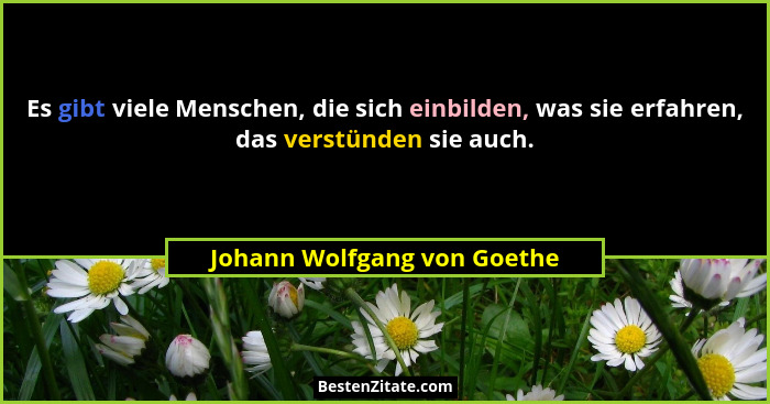 Es gibt viele Menschen, die sich einbilden, was sie erfahren, das verstünden sie auch.... - Johann Wolfgang von Goethe