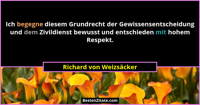 Ich begegne diesem Grundrecht der Gewissensentscheidung und dem Zivildienst bewusst und entschieden mit hohem Respekt.... - Richard von Weizsäcker