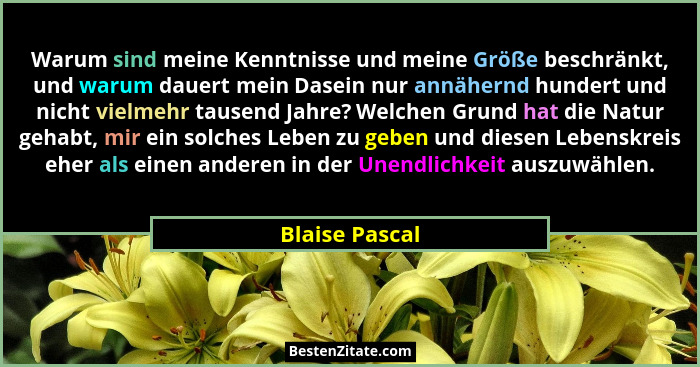 Warum sind meine Kenntnisse und meine Größe beschränkt, und warum dauert mein Dasein nur annähernd hundert und nicht vielmehr tausend... - Blaise Pascal